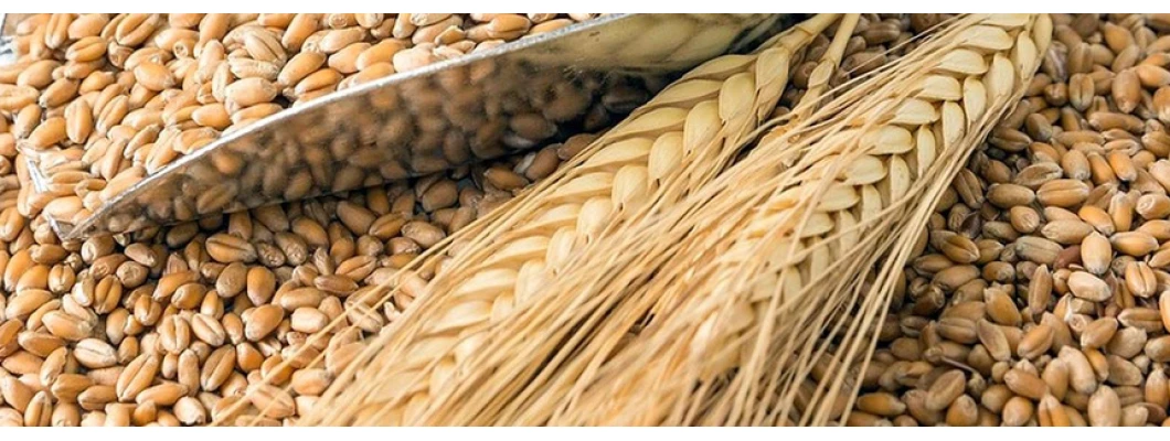 The cosmetic industry adapts to celiacs