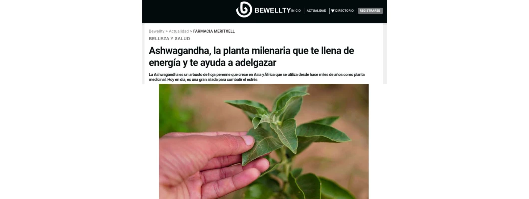 Ashwagandha, la plante ancienne qui vous remplit d'énergie et vous aide à perdre du poids