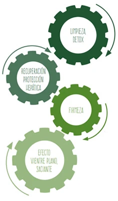 formula detox unique green collagen