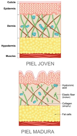 pell jove | unique pink collagne